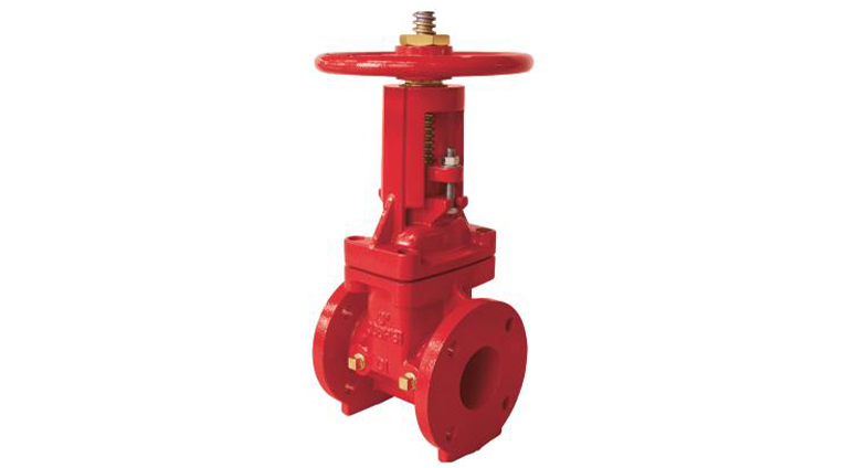 FM认证APC 宁津美华闸阀Z41-300 2 ½“