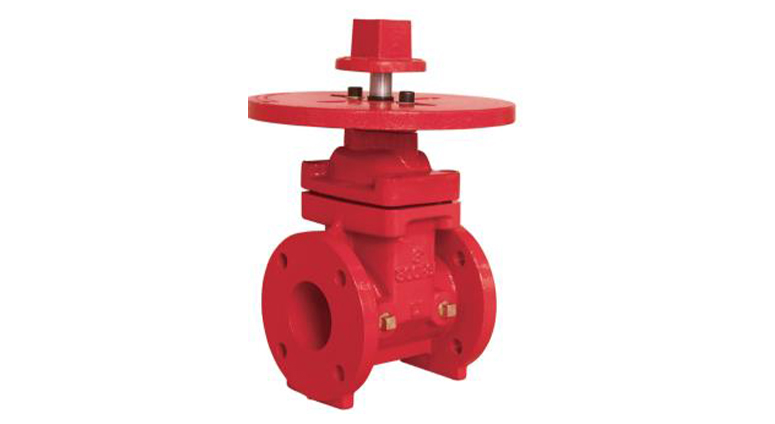 FM认证APC 宁津美华闸阀Z45-300 2 ½“